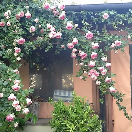 Holiday home Dimora Le Camelie